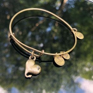 Alex and Ani devil heart charm bangle